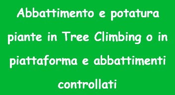 Abbattimento e potatura piante in Tree Climbing o in piattaforma e abbattimenti controllati