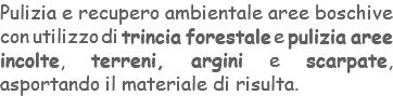 Pulizia e recupero ambientale aree boschive con utilizzo di trincia forestale e pulizia aree incolte, terreni, argini e scarpate, asportando il materiale di risulta.